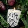FIGUIER (Fico) - Candela profumata 190 gr