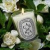 GARDENIA - Candela profumata 190 gr